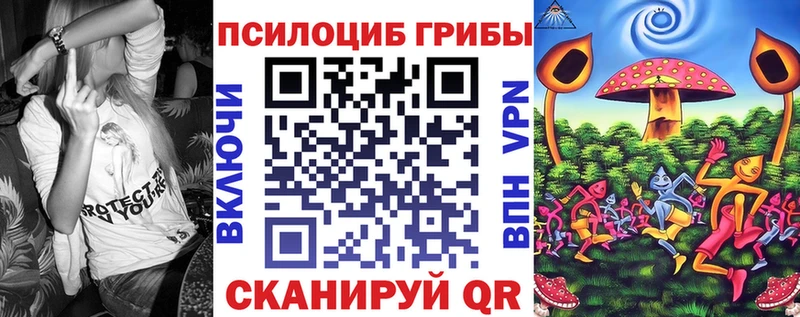 OMG рабочий сайт  наркота  Новоалтайск  Псилоцибиновые грибы ЛСД 